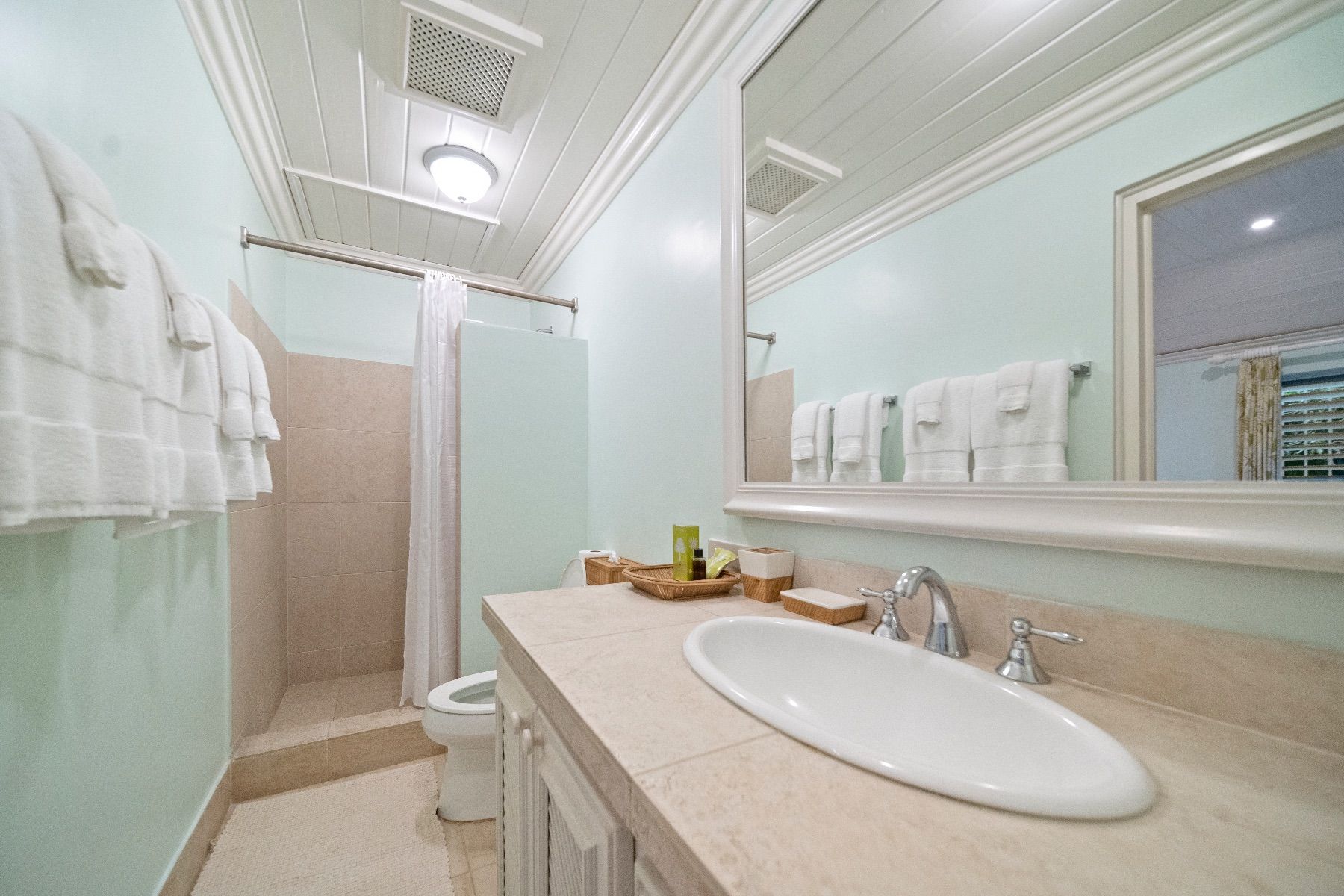 Heronetta Villa- Sandy Lane villa photo.